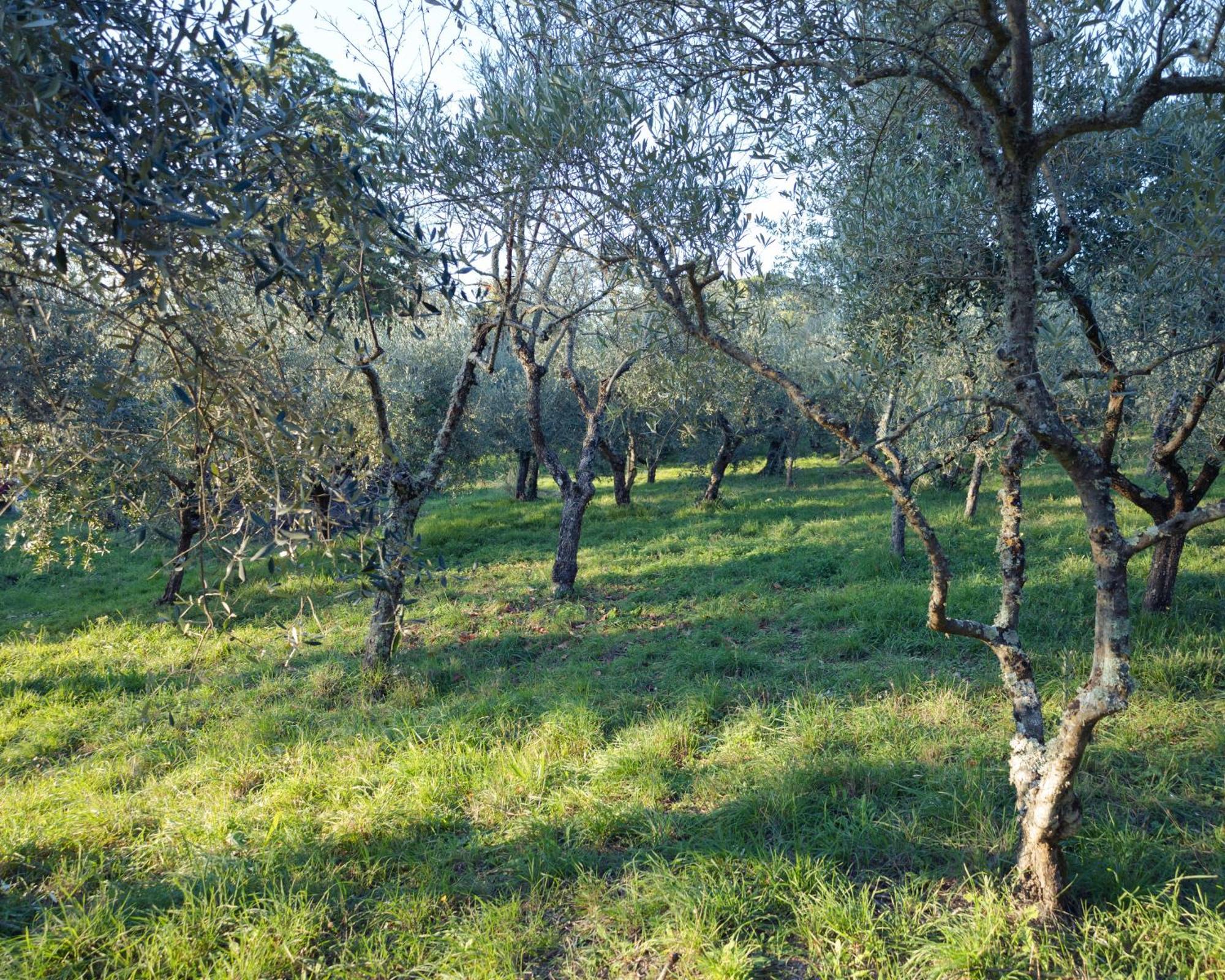 Il Nuvoloso 2 Città della Pieve Exterior foto
